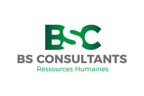 BS Consultants